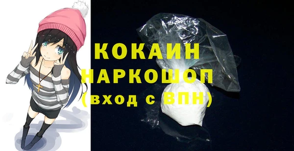 гашик Краснослободск