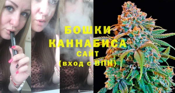 гашик Краснослободск
