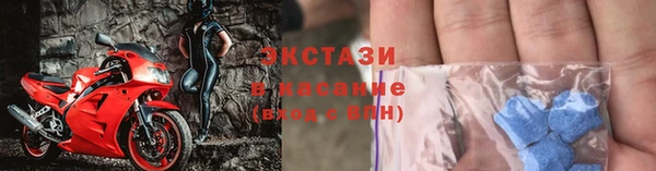 гашик Краснослободск