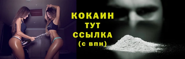 соль ск Кукмор
