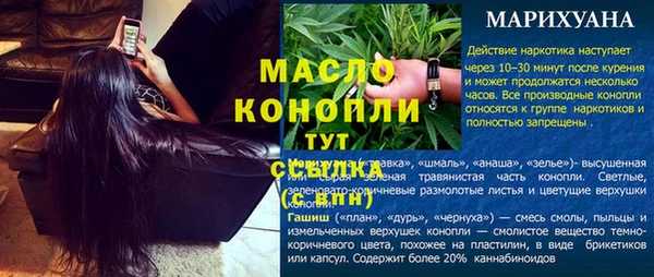гашик Краснослободск