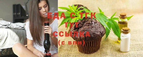 гашик Краснослободск