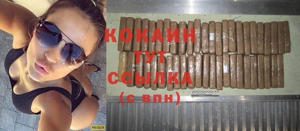 гашик Краснослободск