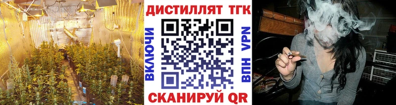 дарк нет Telegram  Лиски  ТГК Wax 