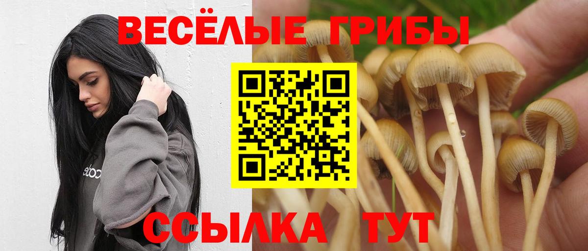 Лиски  Псилоцибиновые грибы Cubensis  Вход с VPN 