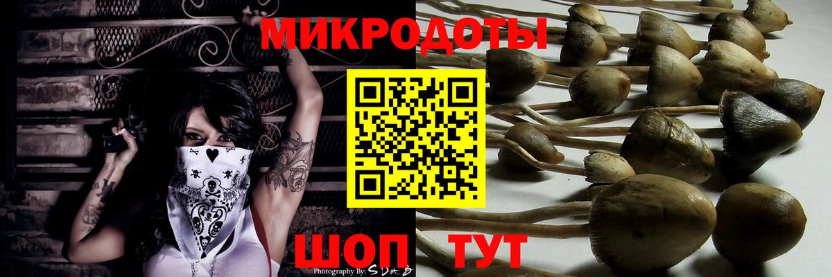 Галлюциногенные грибы GOLDEN TEACHER Лиски
